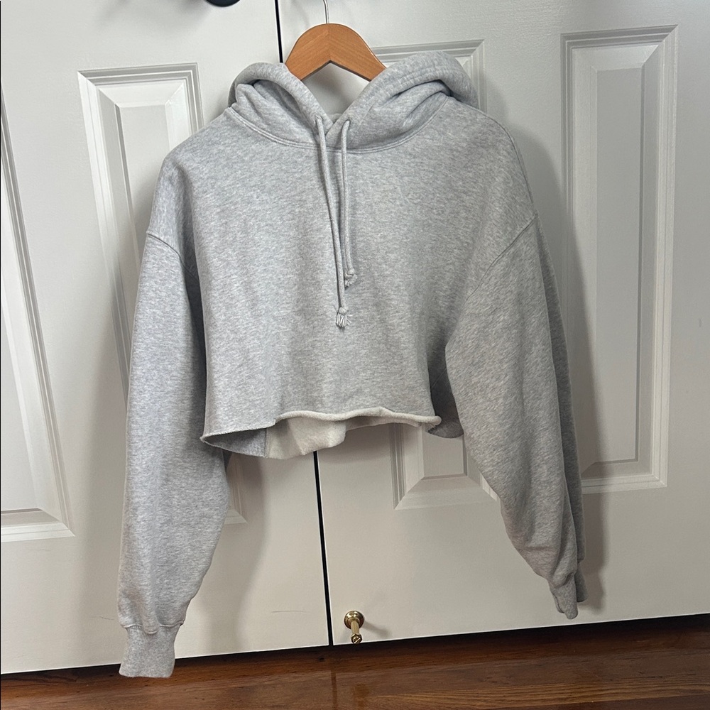Aritzia Cropped Hoodie Sweatshirt in Light Gray